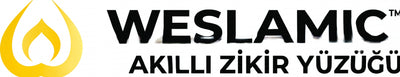 weslamictr